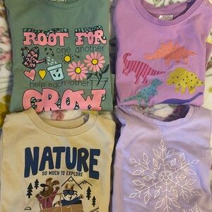 Girls 4T long sleeve shirt with snowflake, nature, camping, outdoor, dinosaur
